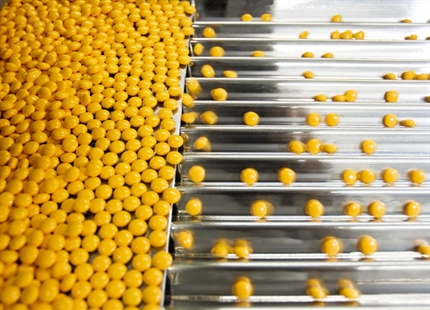 Luftbefeuchtung für Pharma, Medizin und Biowissenschaft