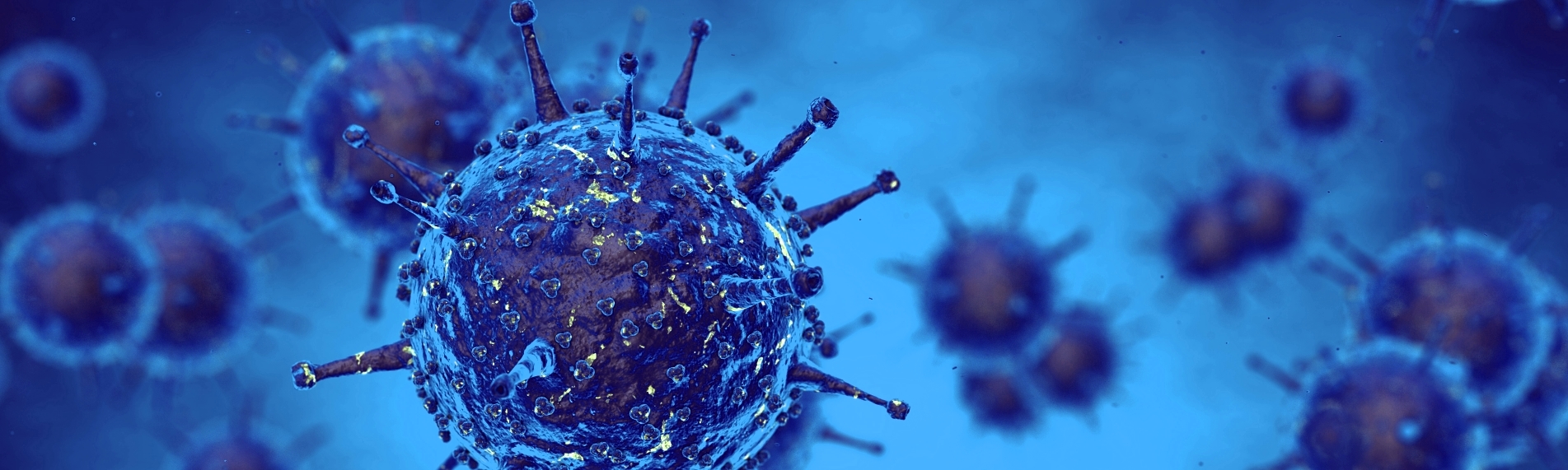 Aktuelle News zum Coronavirus