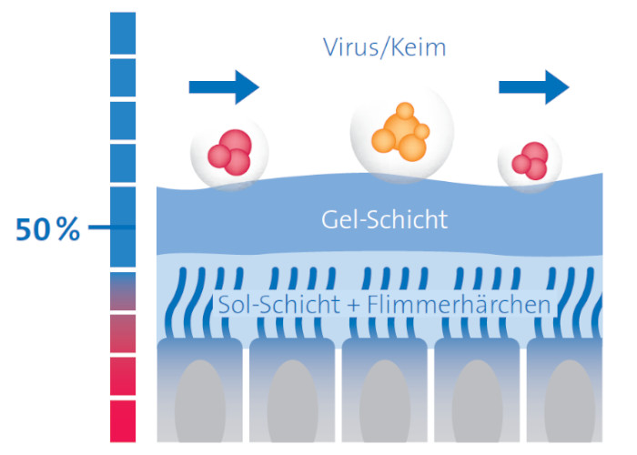 Selbstreinigung der Schleimhäute bei unterschiedlicher, relativer Luftfeuchte